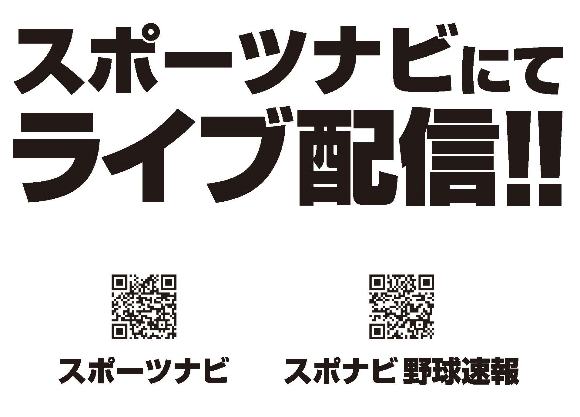 南東北大学野球連盟公式サイト
